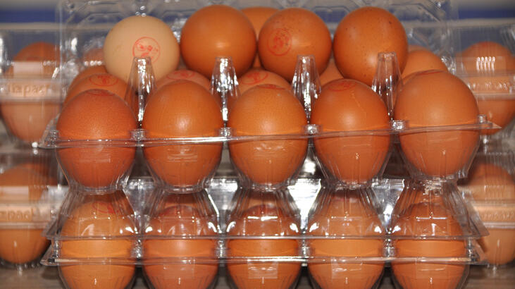 Pandemide yumurtaya talep yüzde 100 arttı