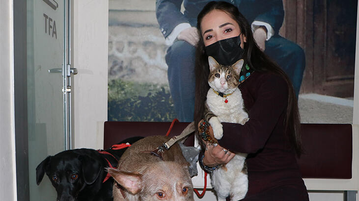 'Pandemide yüzde 100 arttı' deyip uyardı!