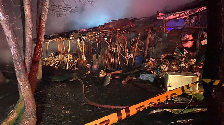 Polonezköy'de korkutan yangın! Ekipler oraya koştu