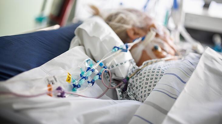 Polonya'da ölü sayısında korkunç rekor!