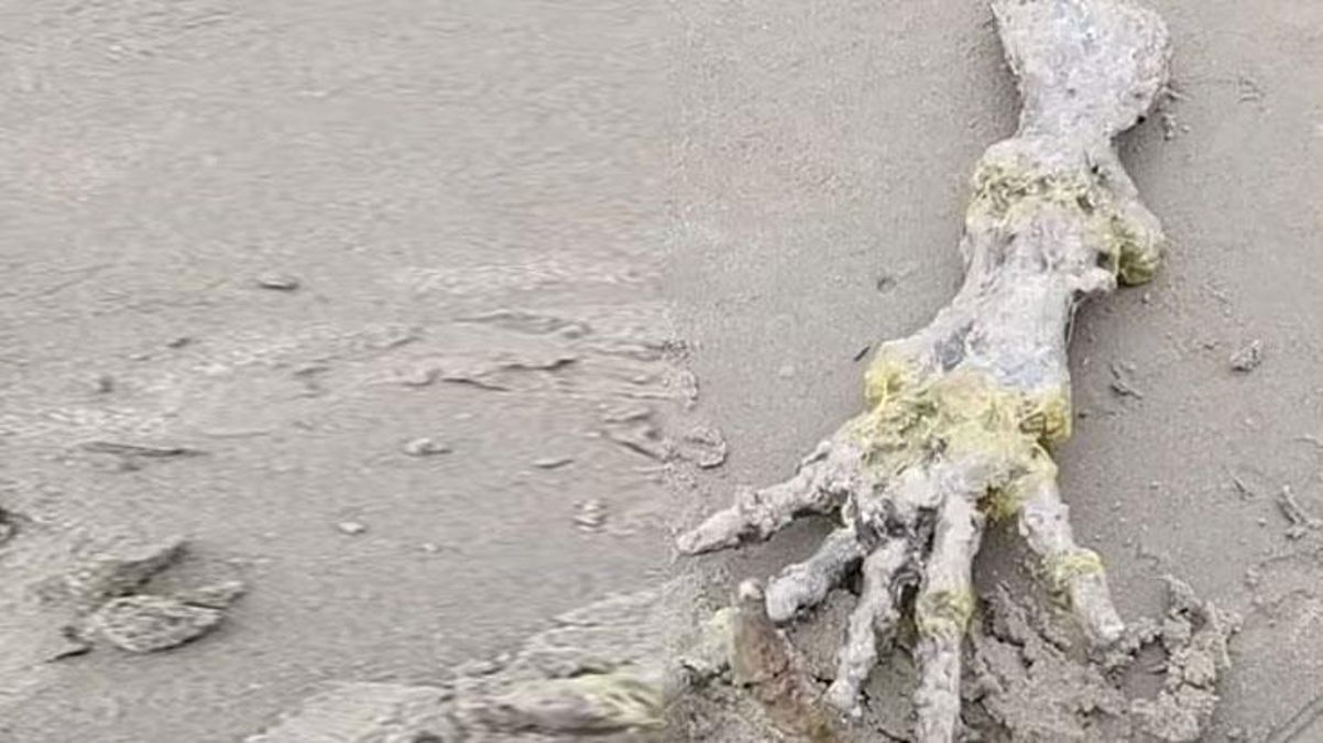 Sahilde yürüyen çift, kumdan fırlayan esrarengiz parmakları bulunca dehşete düştü