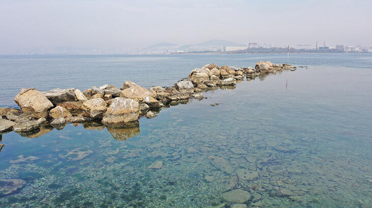 Şaşkınlık yarattı! Tuzla'da sular çekilince ortaya çıktı