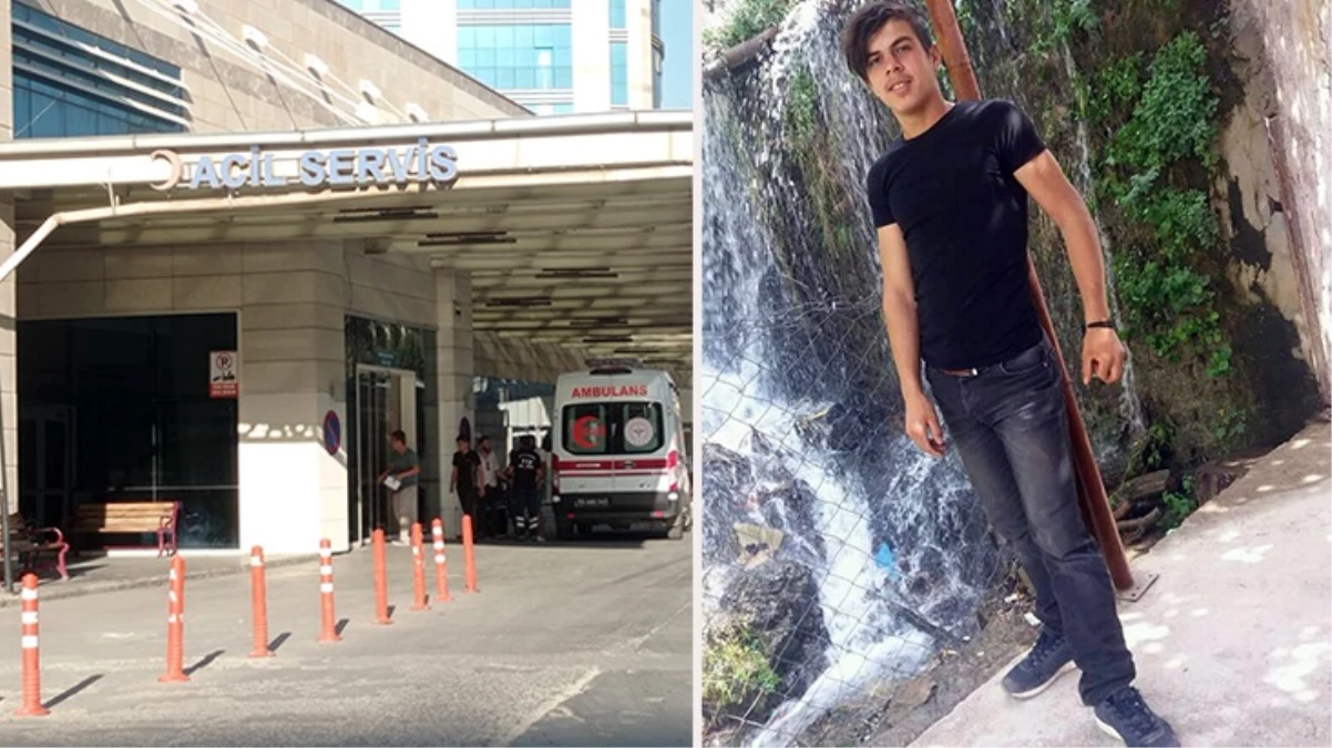 Siirt'te ayı saldırısına uğrayan genç, köpekleri sayesinde kurtuldu