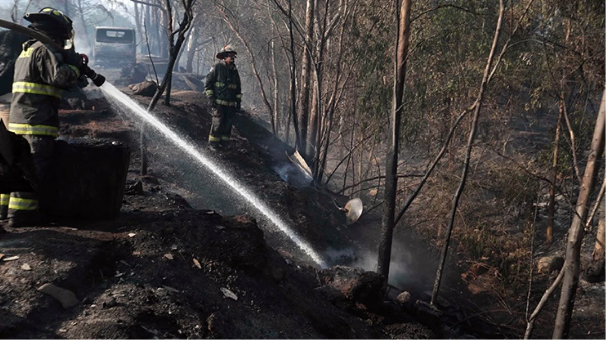 Şili'deki orman yangınlarında can kaybı 19'a yükseldi