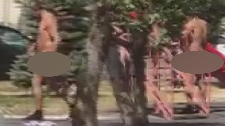 Park'ta çıplak gezinen adam isyanı