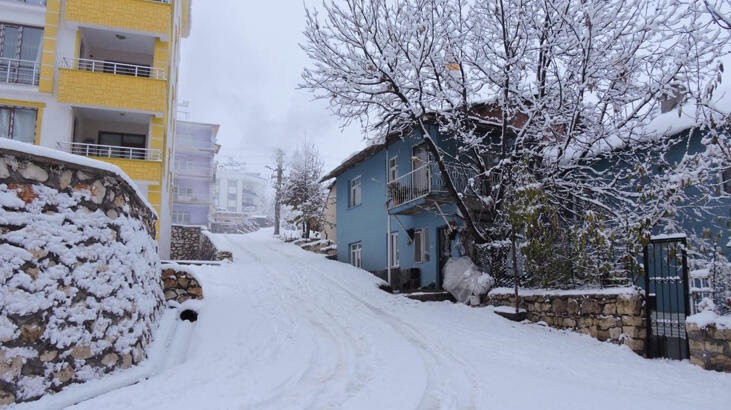 7 kentte kar yağışı! Meteoroloji'den uyarı yapıldı