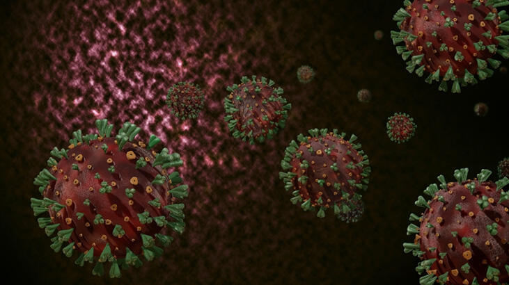 Bilim insanlarından mutasyon açıklaması: Paniğe gerek yok!