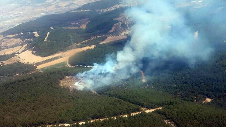 İzmir Foça'da orman yangını! Ekipler bölgede