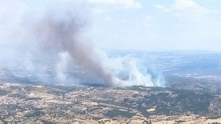 Manisa'da orman yangını