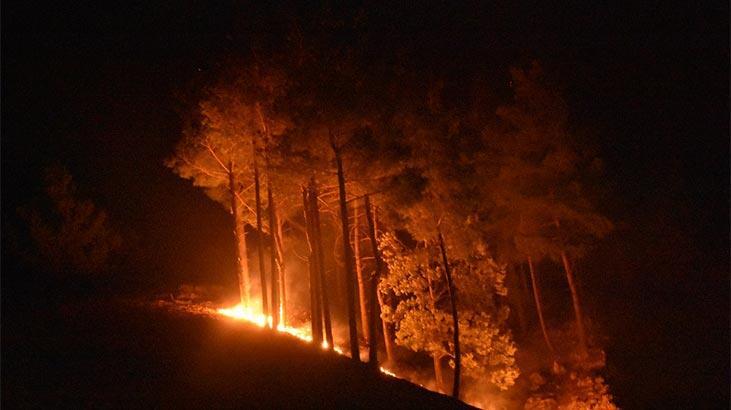 Adana Kozan'daki yangın kontrol altına alındı