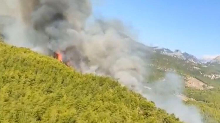 Antalya'da orman yangını