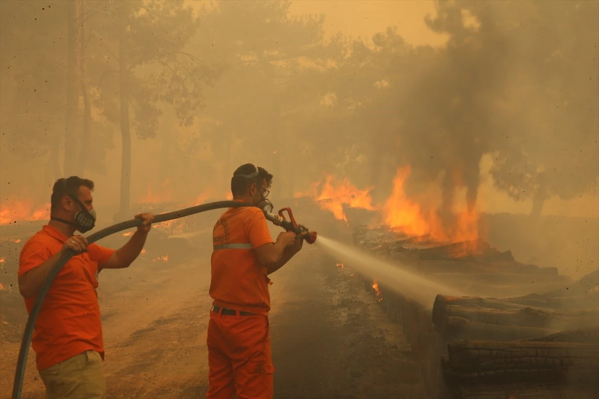 Çanakkale ve Eskişehir'deki orman yangınları kontrol altına alındı