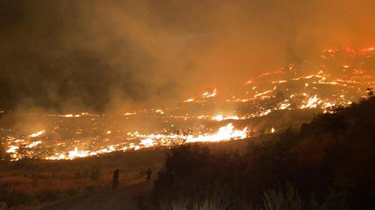 Son dakika! Muğla'da orman yangını! Ekipler müdahale ediyor