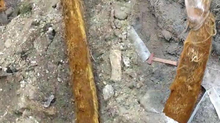 Su borusundan çıkan 6 metrelik kök görenleri şaşırttı