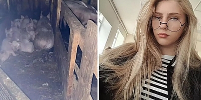 17 yaşındaki kız öğrenci domuzlar tarafından öldürüldü!