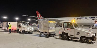 6,5 milyon doz aşı daha Türkiye'de