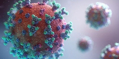 ABD'de yeni mutasyon tespit edildi!