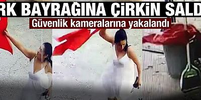 Adana'da Türk bayrağına çirkin saldırı!