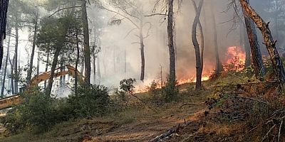 AFAD'dan Bursa'ya flaş uyarı