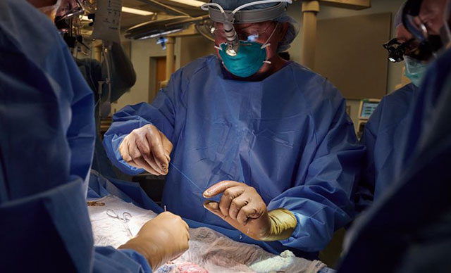 Alternatif organ kaynağı: Domuzdan böbrek nakli