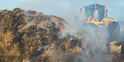 Amasya'da 90 ton saman alev alev yandı