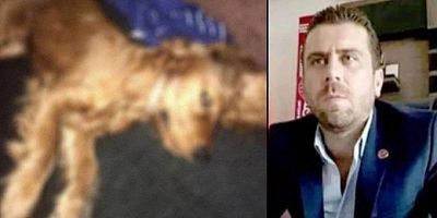 Ankara'da köpeğe tecavüz iddiası!