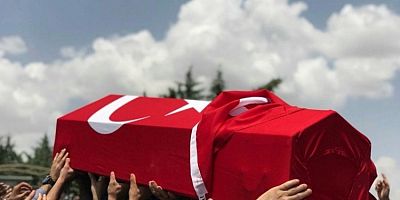 Arı uzman çavuşu şehit etti