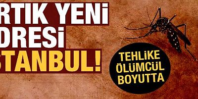 Asya kaplan sivrisineği İstanbul'a yerleşti!