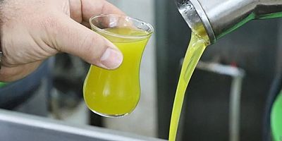 Avrupa'da aşırı sıcaklar tarımı vurdu! Zeytinyağından yeni zam endişesi..