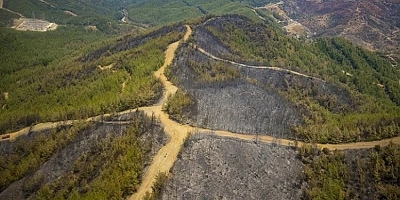 Bakan açıkladı! Marmaris'teki orman yangını tamamen kontrol altında