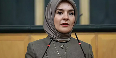 Bakan Göktaş, 