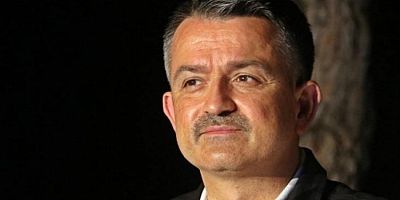 Bakan Pakdemirli'den yangınlarla ilgili açıklama