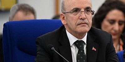 Bakan Şimşek: Fiyat istikrarı sabır gerektiriyor