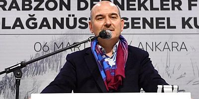 Bakan Soylu, Türkiye'ye gelen Ukraynalı sayısını açıkladı