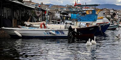 Balık sizden, mazot bizden