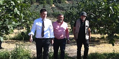 Başkan Aydın'dan Osmangazi Siyah İncir Festivali'ne davet