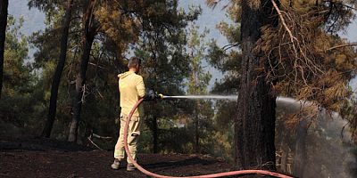 Başkan Bozbey’den Gürsu TOKİ bölgesinde inceleme