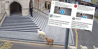 Belediye binasını basan sürü Dünya Basınında