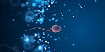 BionTech aşısı kısırlık mı yapıyor?