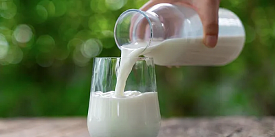 Birşah sütlerinde şok tespit! Danone toplatma kararı aldı