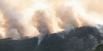 Burdur, Manavgat, Kaş, Adana ve Uşak'ta yangın!