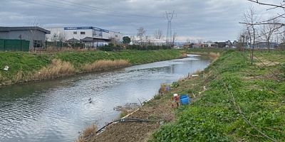 Bursa Büyükşehir Belediye Başkanı Bozbey'in Nilüfer Çayı çağrısı karşılık buldu