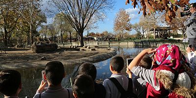 Bursa Büyükşehir Belediyesi'nden öğrencilere karne hediyesi!