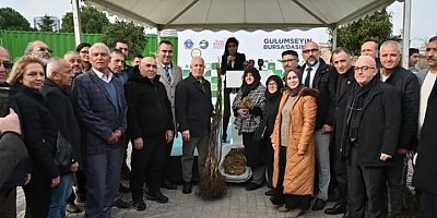 Bursa Büyükşehir Belediyesi'nden üreticiye fide ve fidan desteği!