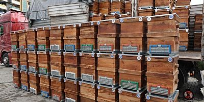 Bursa Büyükşehir'den arıcılara kovan desteği