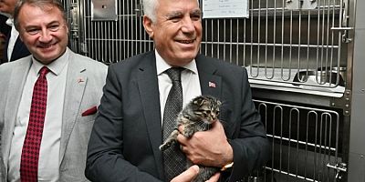 Bursa Büyükşehir'den can dostlara şefkat