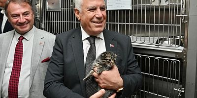 Bursa Büyükşehir'den can dostları için önemli proje