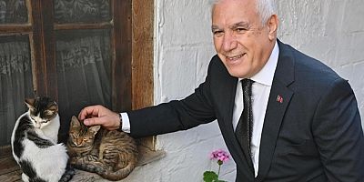 Bursa Büyükşehir patili dostların yanında