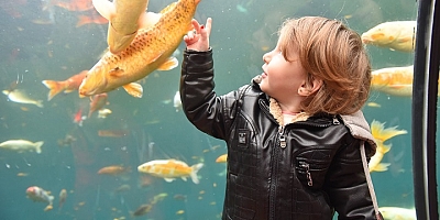 Bursa Cazibe Merkezi Tünel Akvaryumu'na 10 günde 40 bin ziyaretçi