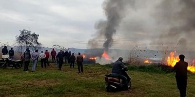 Bursa'da 15 dönüm alan kül oldu
